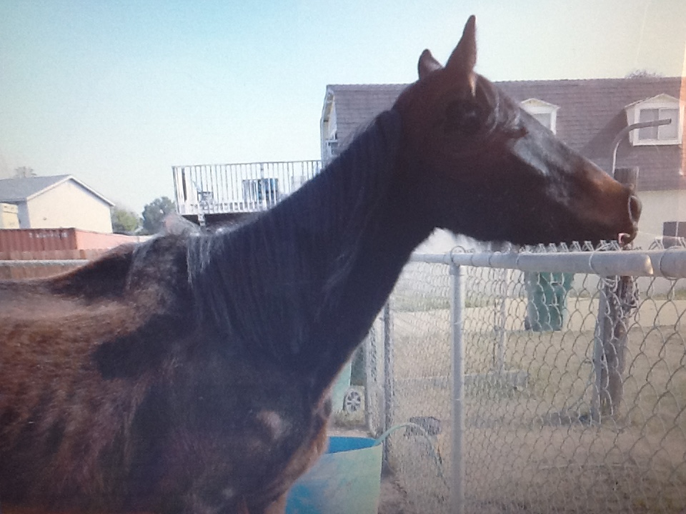 original-42474374-ADD1-4DC2-AB11-51466361CDEA