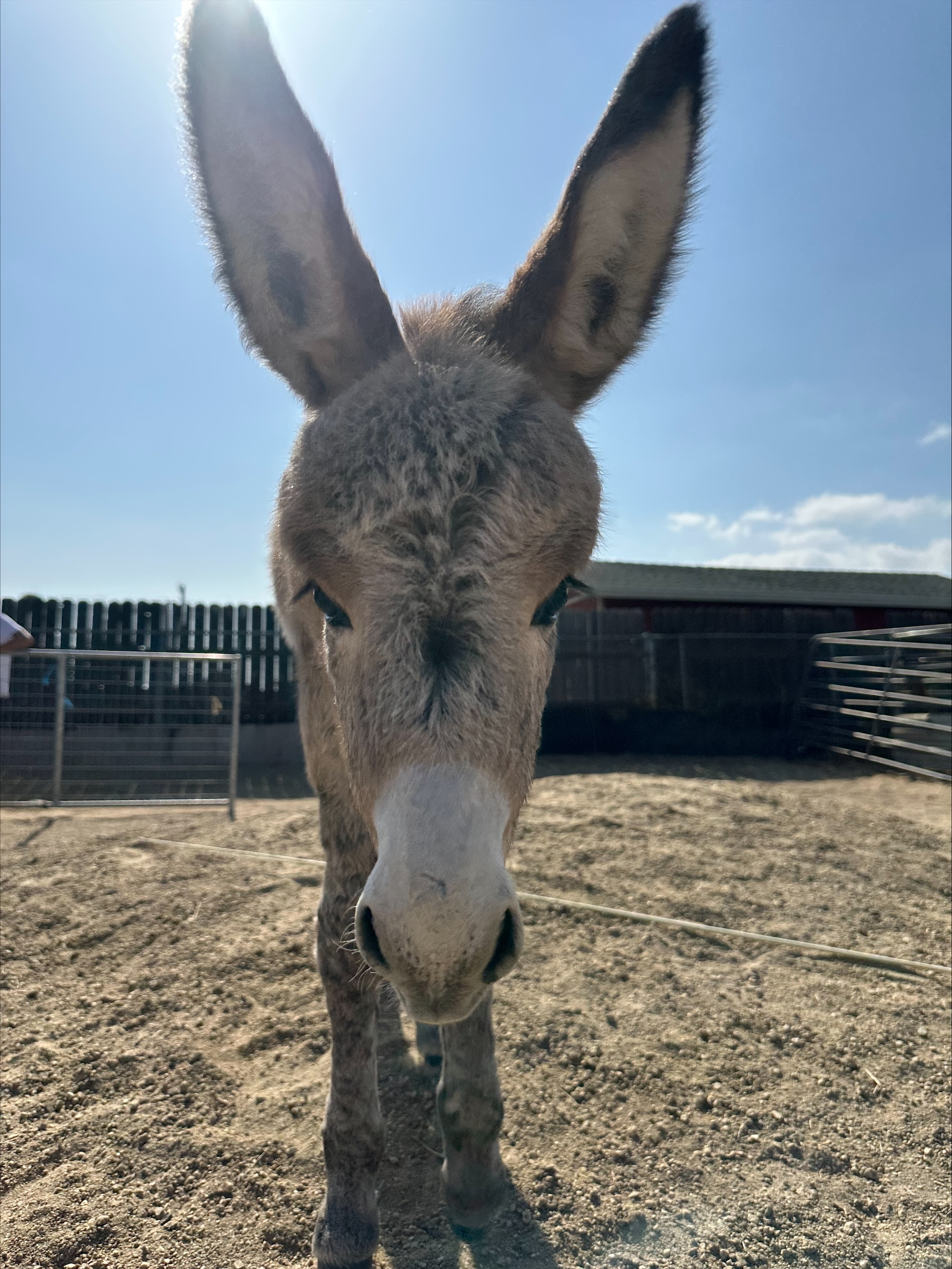 processed-19361DEA-FB06-45B9-AA27-20F1F8516186