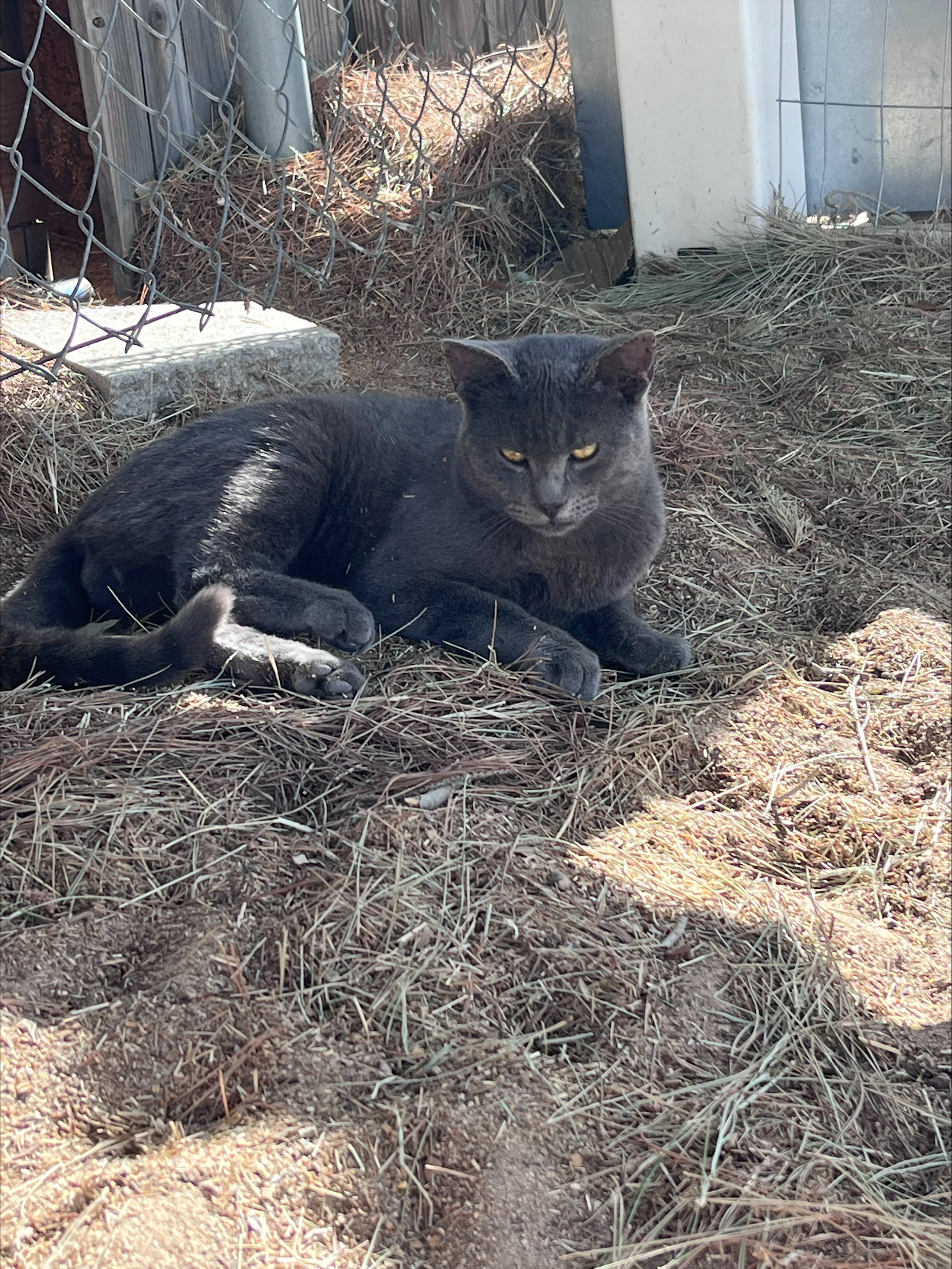 processed-4B029E8B-503F-4D6A-B8B8-A7D2879EFEB4