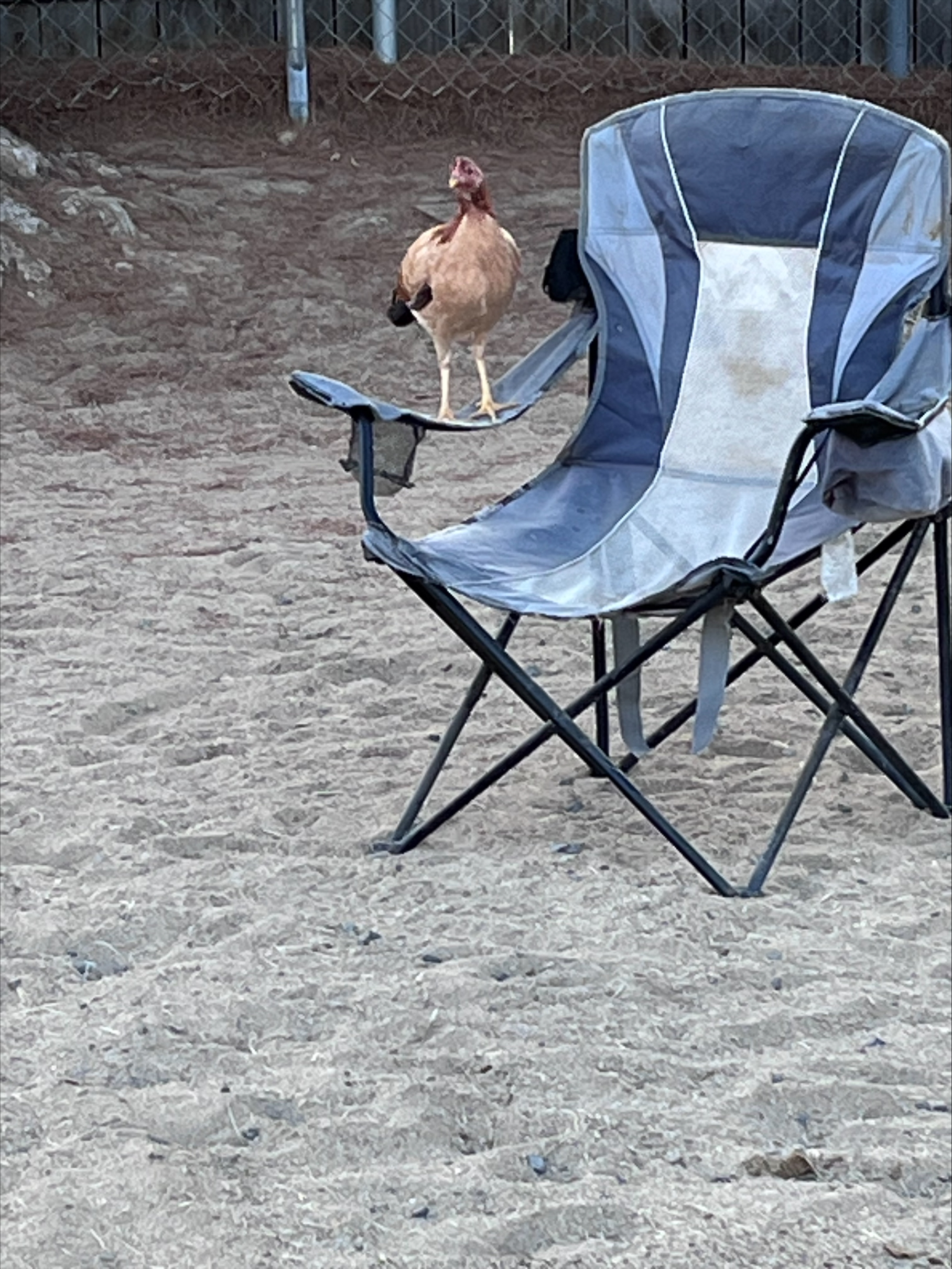 processed-56070773-7177-481A-B819-2C591190F268