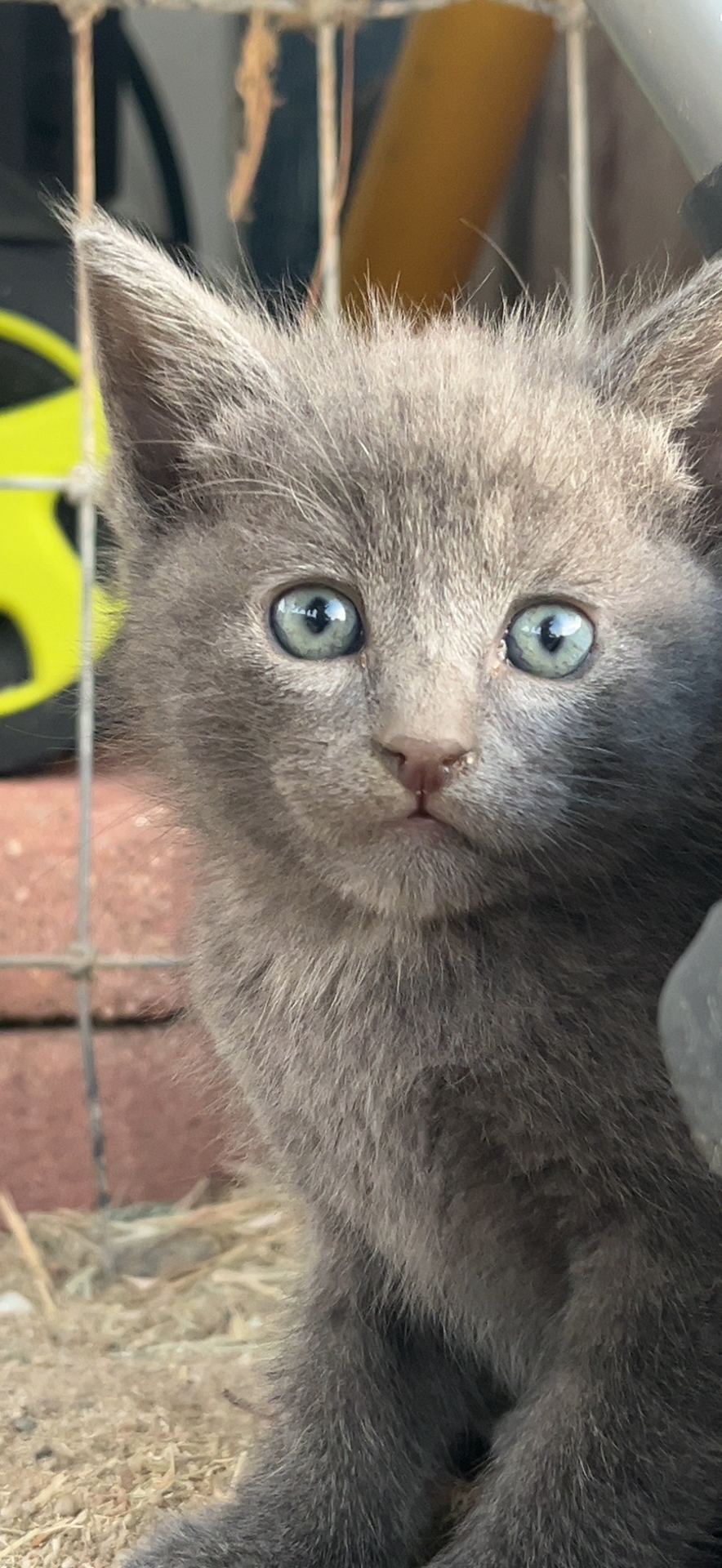 processed-6C08BB24-8656-4AD2-BAD7-214E9225D6B9