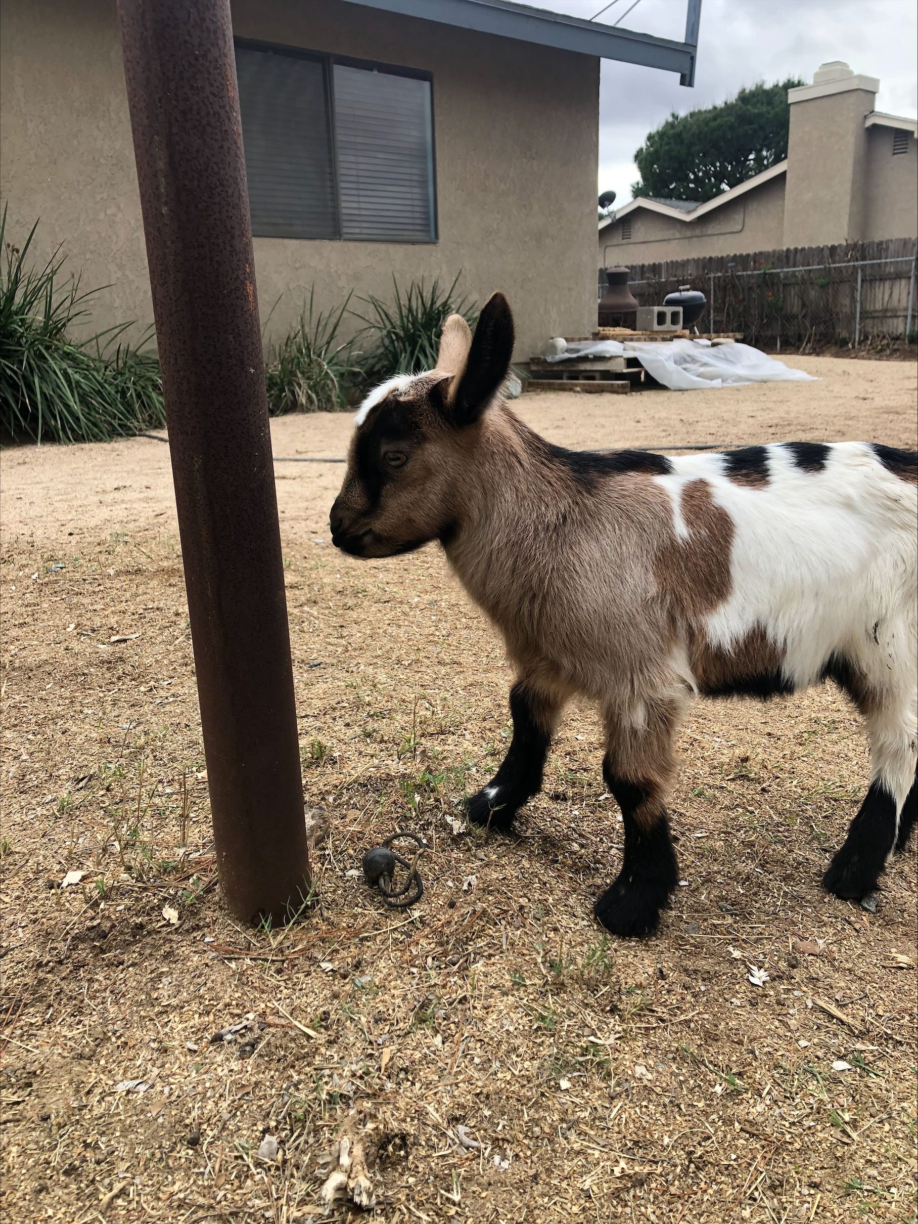 processed-A1094029-EDBA-4EF7-B9BE-5B108AF4AE72