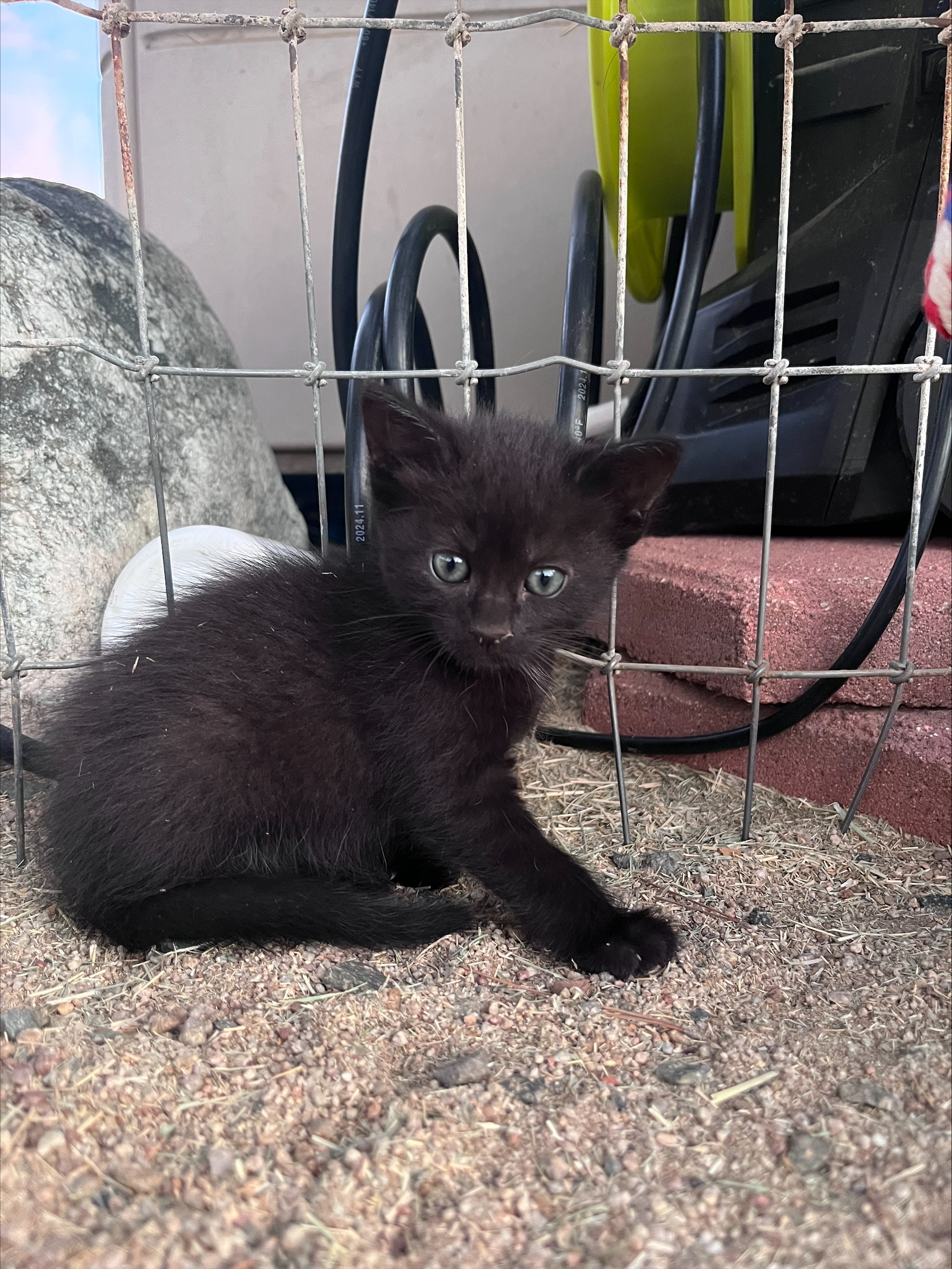 processed-FFBFF71E-4DDF-47F6-853A-328C9D30AD78